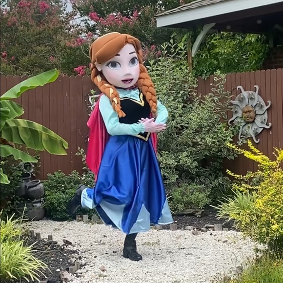 Adult costume Disney princess frozen, we can make any princess. - Picture 3 of 10